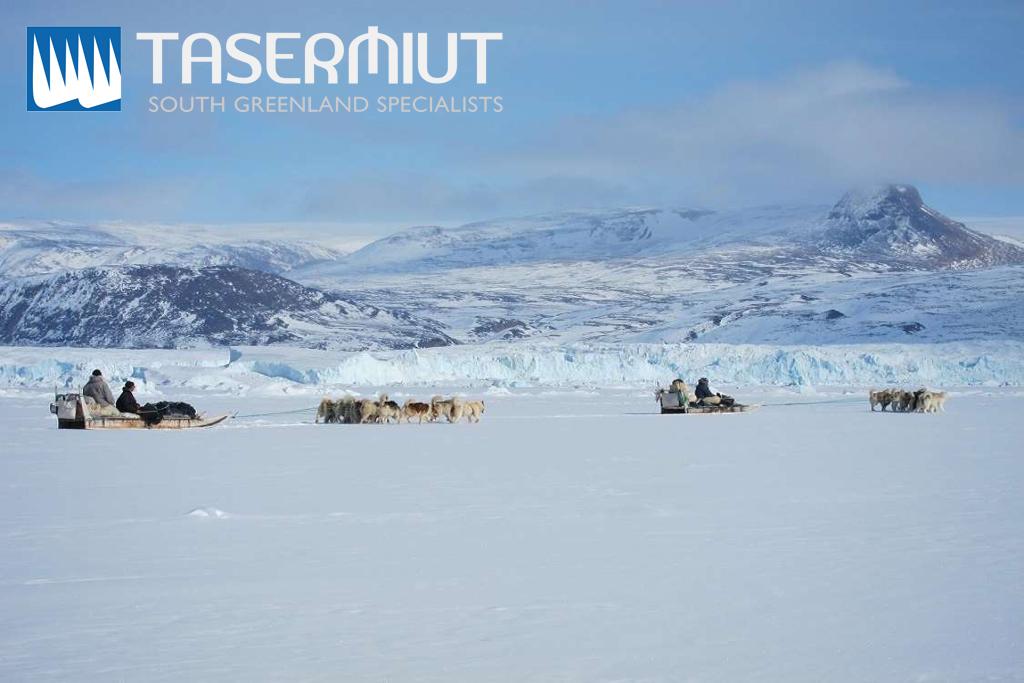 Tasermiut Expeditions: Thule Dog Sledding Expedition
