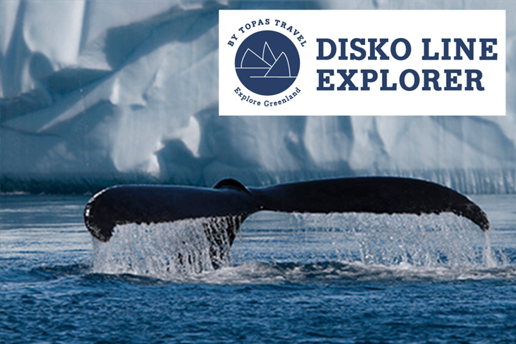 Disko Line: Whale Safari