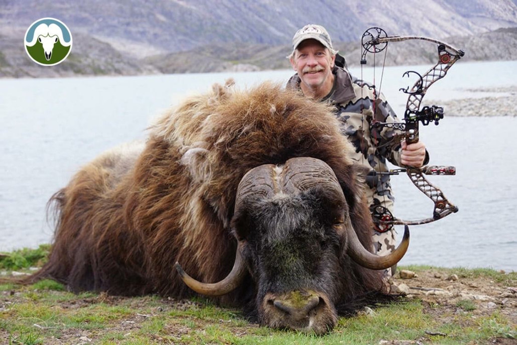 Bowhunting Greenland: Muskox Hunting