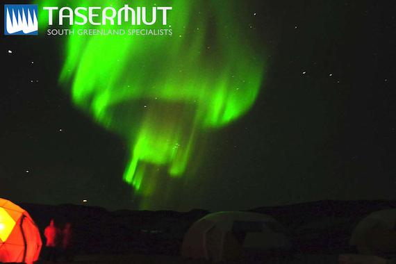 Tasermiut Expeditions: Greenland Northern Lights